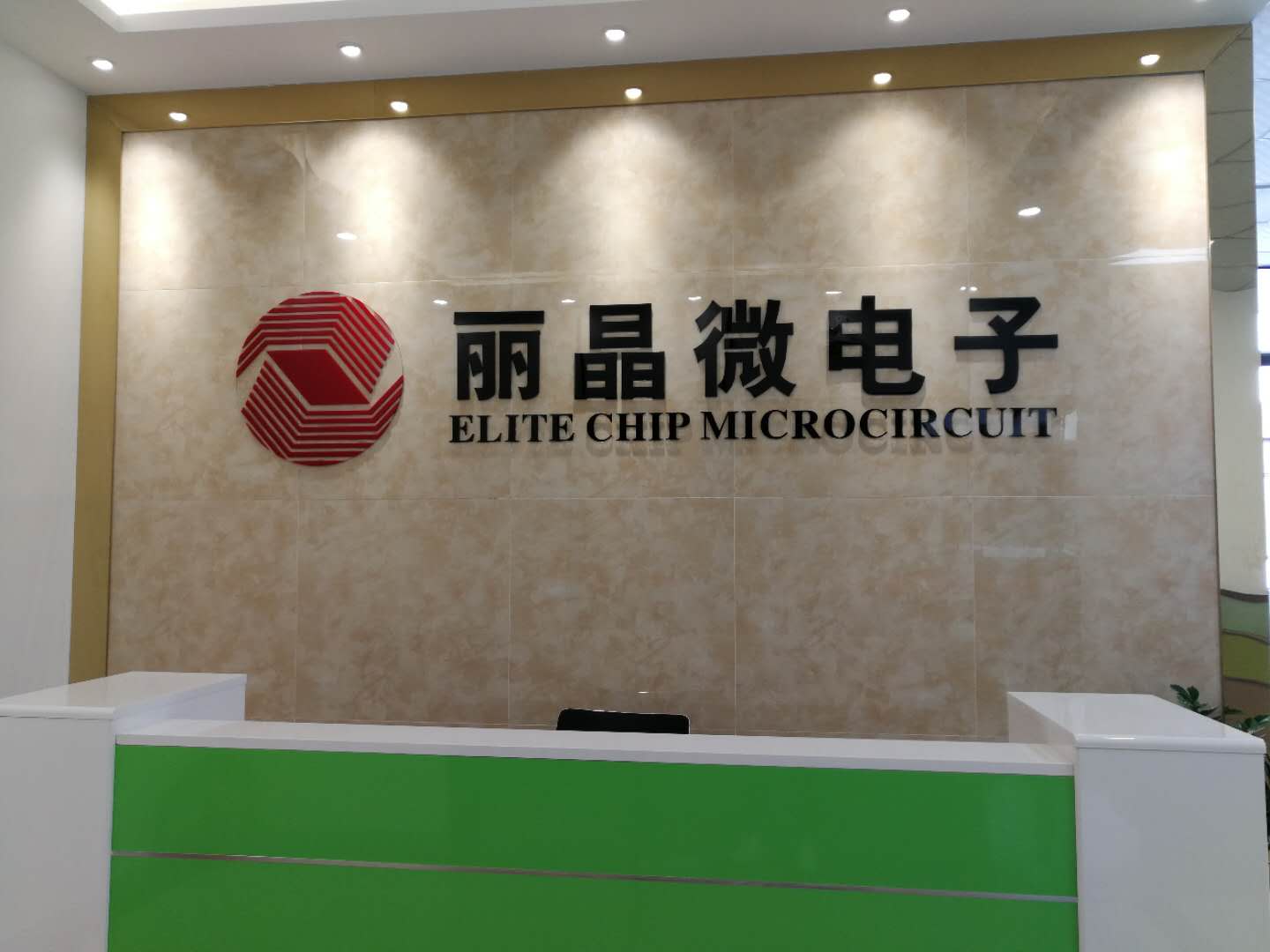 麗晶微電子
