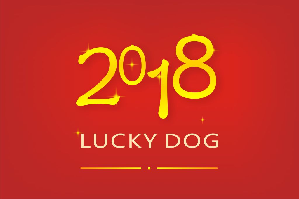 深圳市麗晶微電子科技有限公司