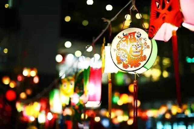 賞花燈